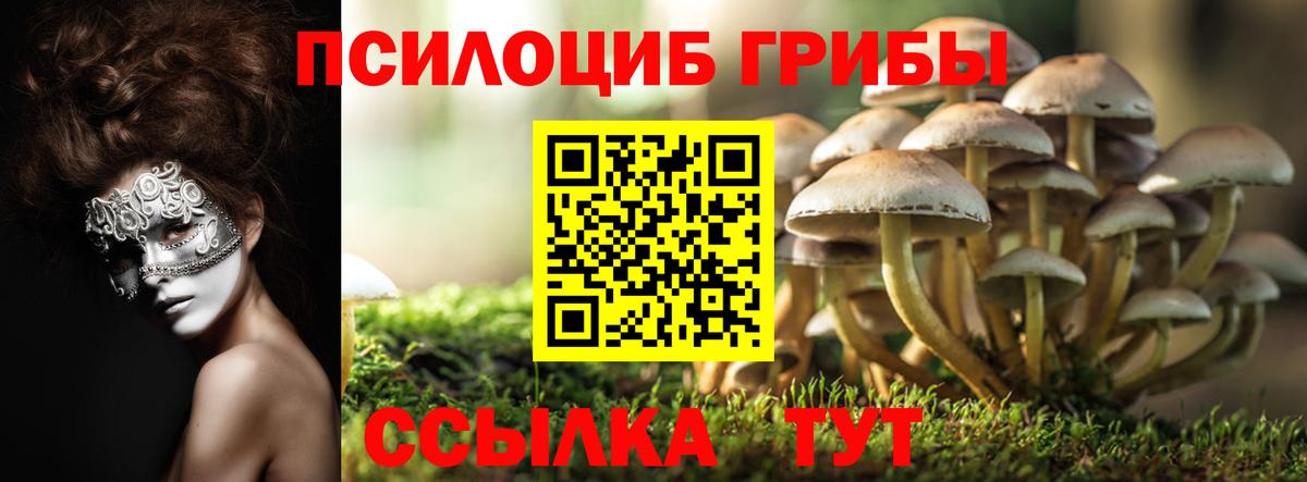 Галлюциногенные грибы прущие грибы  Галлюциногенные грибы Psilocybine cubensis  Улан-Удэ  Вход с VPN 